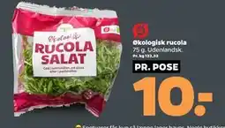 Netto Økologisk rucola tilbud
