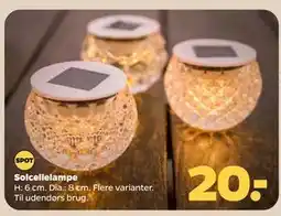 Netto Solcellelampe tilbud