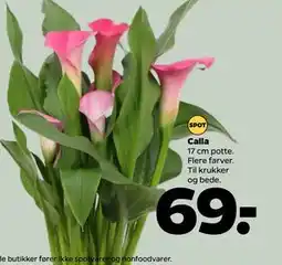 Netto Calla tilbud
