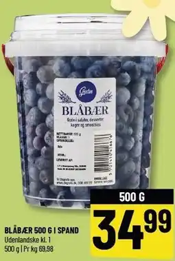 Løvbjerg BLÅBÆR 500 G I SPAND tilbud