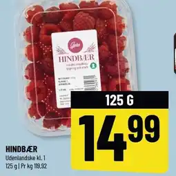 Løvbjerg HINDBÆR tilbud