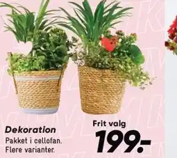 Bilka Dekoraition tilbud