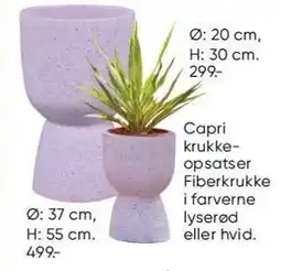 Bilka Capri krukkeopsatser tilbud