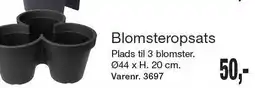 Harald Nyborg Blomsteropsats tilbud