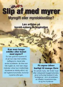 Harald Nyborg Slip af med myrer tilbud