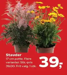 SuperBrugsen Stauder tilbud