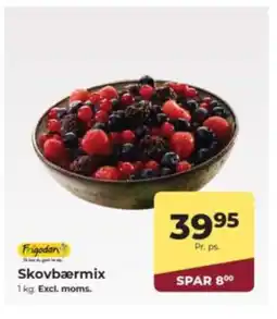 Dagrofa Food Service Skovbærmix tilbud