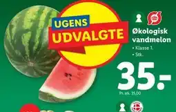 Lidl Økologisk vandmelon tilbud