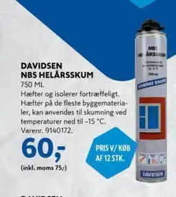 Davidsen DAVIDSEN NBS HELÅRSSKUM tilbud