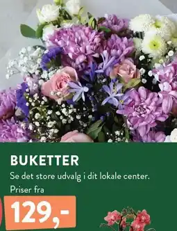 Plantorama BUKETTER tilbud