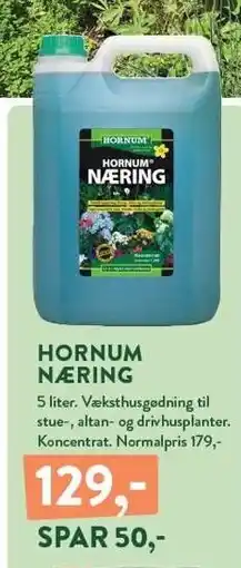 Plantorama HORNUM NÆRING tilbud