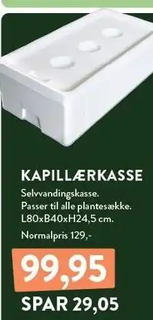 Plantorama KAPILLÆRKASSE tilbud