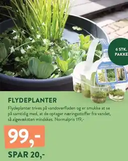 Plantorama FLYDEPLANTER tilbud