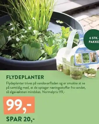 Plantorama FLYDEPLANTER tilbud