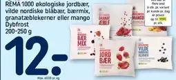 REMA 1000 Bær på frost tilbud