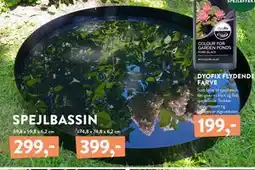 Plantorama SPEJLBASSIN tilbud