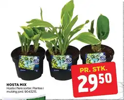 jem & fix Hosta mix tilbud