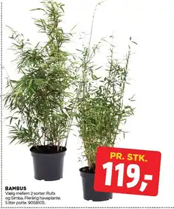 jem & fix Bambus tilbud