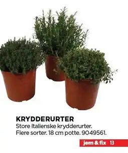 jem & fix Krydderurter tilbud