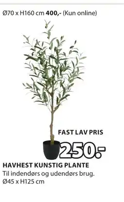 JYSK HAVHEST KUNSTIG PLANTE tilbud