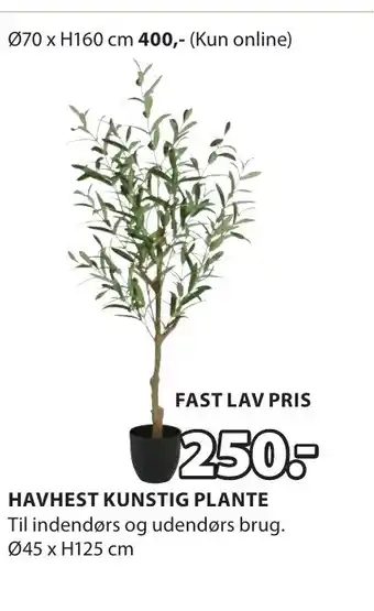 JYSK HAVHEST KUNSTIG PLANTE tilbud