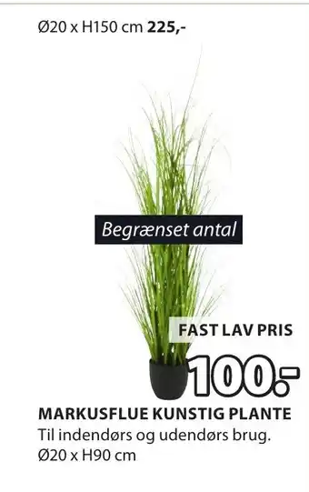 JYSK MARKUSFLUE KUNSTIG PLANTE tilbud