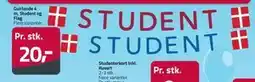 Fleggaard Guirlande 4 m, Student og Flag tilbud