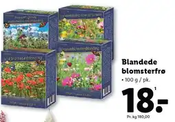 Lidl Blandede blomsterfrø tilbud