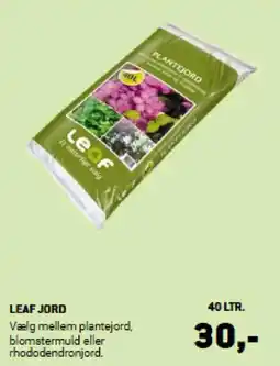 XL-BYG LEAF JORD tilbud