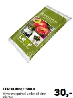 XL-BYG LEAF BLOMSTERMULD tilbud