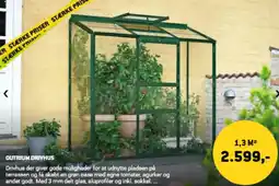 XL-BYG OUTRIUM DRIVHUS tilbud