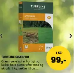 XL-BYG TURFLINE GRÆSFRØ tilbud