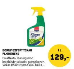 XL-BYG BORUP EXPERT TOXAN PLÆNERENS tilbud