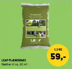 XL-BYG LEAF PLÆNEGRÆES tilbud