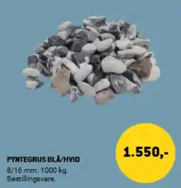 XL-BYG PYNTEGRUS BLA/HVID tilbud