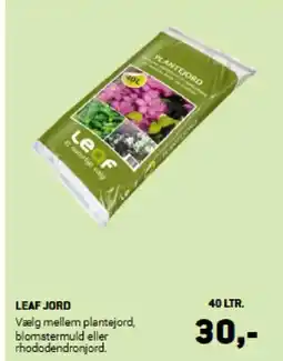 XL-BYG LEAF JORD tilbud