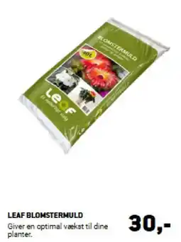 XL-BYG LEAF BLOMSTERMULD tilbud