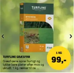 XL-BYG TURFLINE GRÆSFRØ tilbud