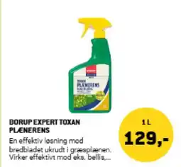 XL-BYG BORUP EXPERT TOXAN PLÆNERENS tilbud