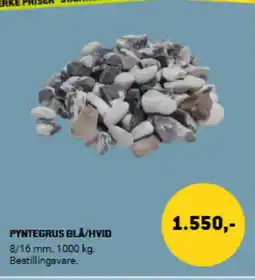 XL-BYG PYNTEGRUS BLA/HVID tilbud
