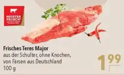 Citti Frisches teres major tilbud