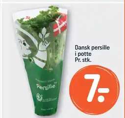 REMA 1000 Dansk persille i potte tilbud