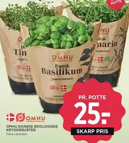 MENY OMHU DANSKE ØKOLOGISKE KRYDDERURTER tilbud