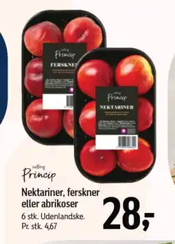 Føtex SALLING PRINCIP Nektariner, ferskner eller abrikoser tilbud