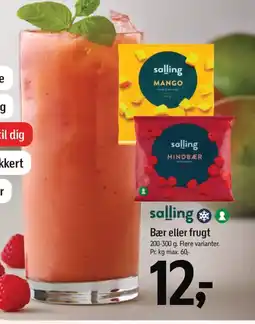 Føtex SALLING Bær eller frugt tilbud