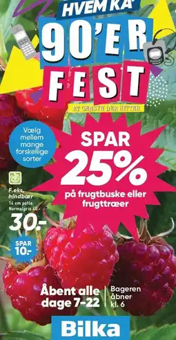 Bilka SPAR 25% på frugtbuske eller frugttræer tilbud