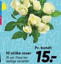Bilka 10 stilke roser tilbud