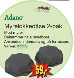 Harald Nyborg Myrelokkedåse 2-pak tilbud