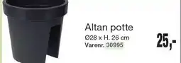 Altan potte