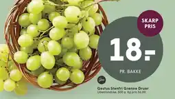 SPAR Gestus Stenfri Grønne Druer tilbud